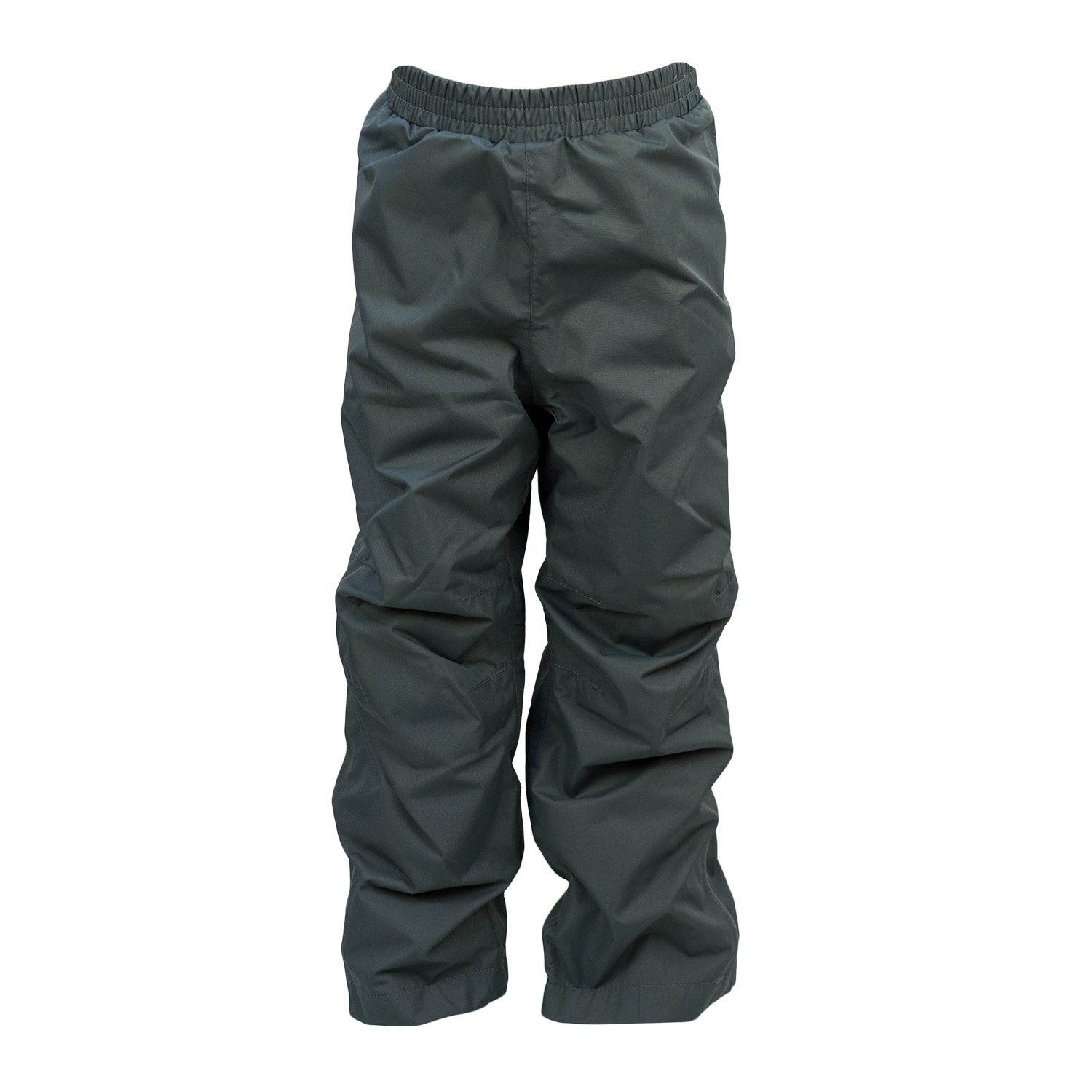 Брюки icepeak доставка